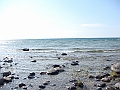 Western Michigan [2010] 808